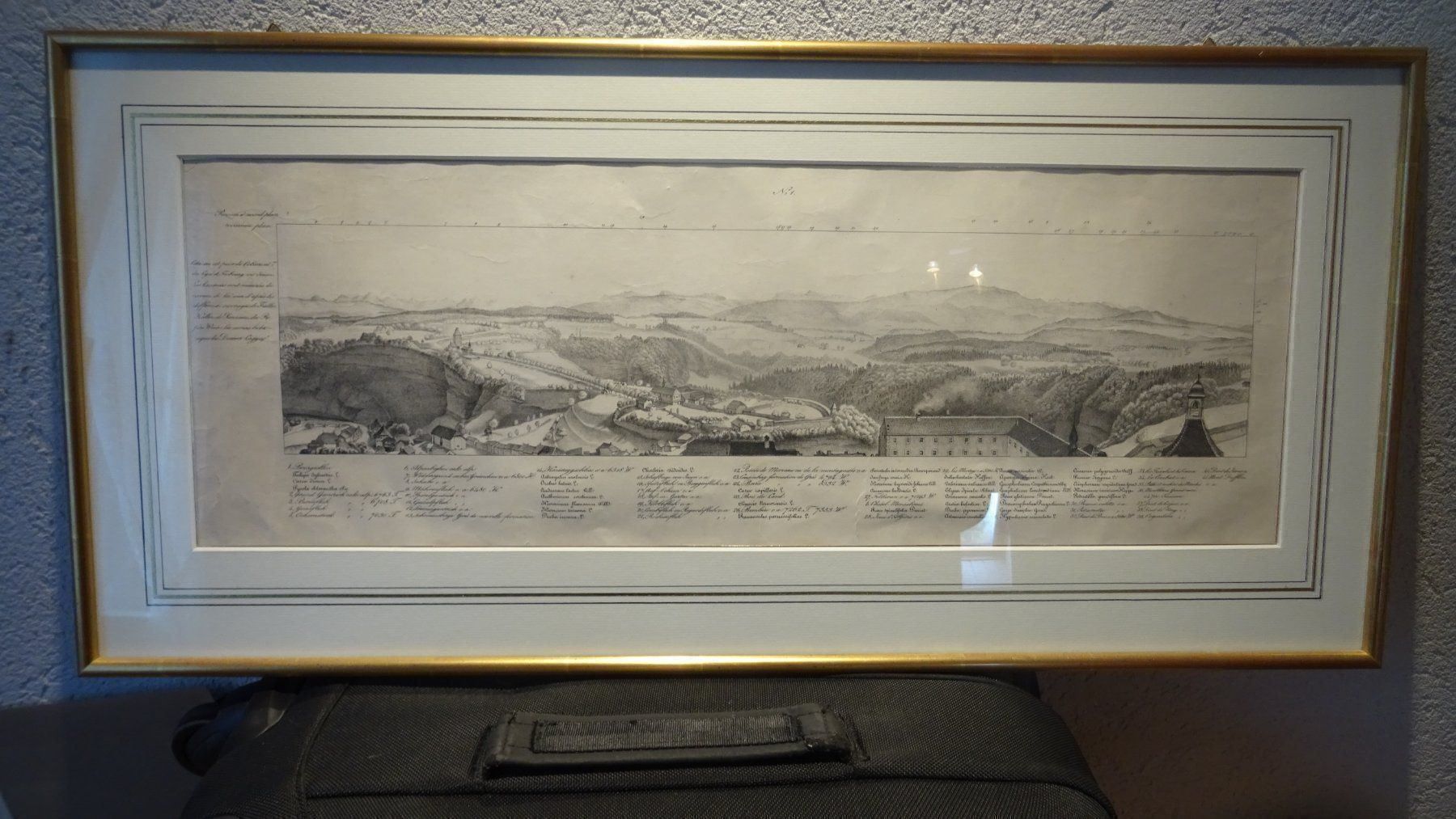 Incisioni: STAHLSTICH MIT PASSEPARTOUT Nr. 1, 36x76 – Usato da Eschenbach SG venduto da eDaisy