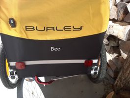 Neuer Burley Veloanhänger