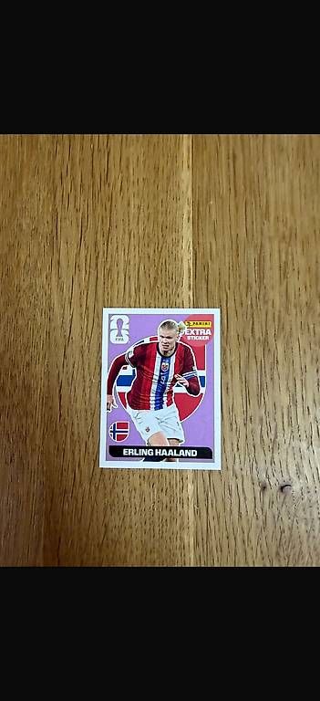 Carte collezionabili: Extra Sticker Haaland – Usato da Zürich venduto da lej_7lbp
