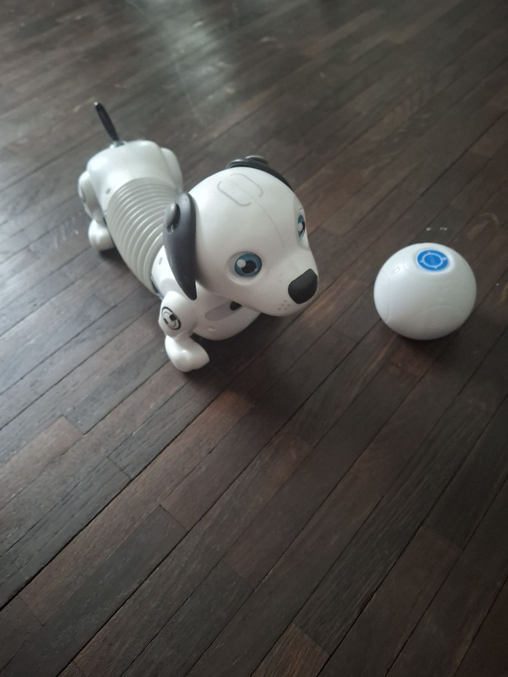 Giocattoli: Silverlit Roboter Dackel Junior – Usato da Luzern venduto da msachs