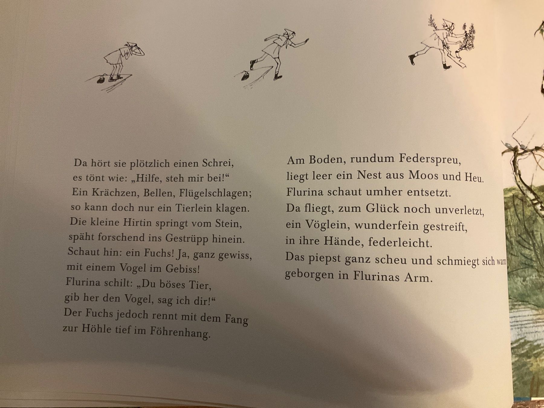 Bücher: Flurina und das Wildvöglein – Gebraucht aus Avenches von Lactobacille 6