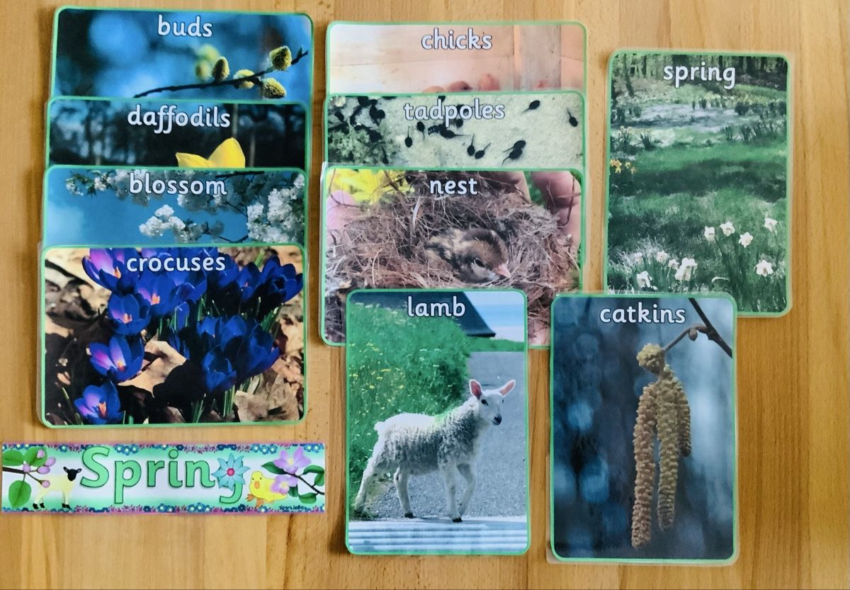 Spiele: Flashcards board signs educational bundle teaching resources – Gebraucht aus Lufingen von lotzstef 7