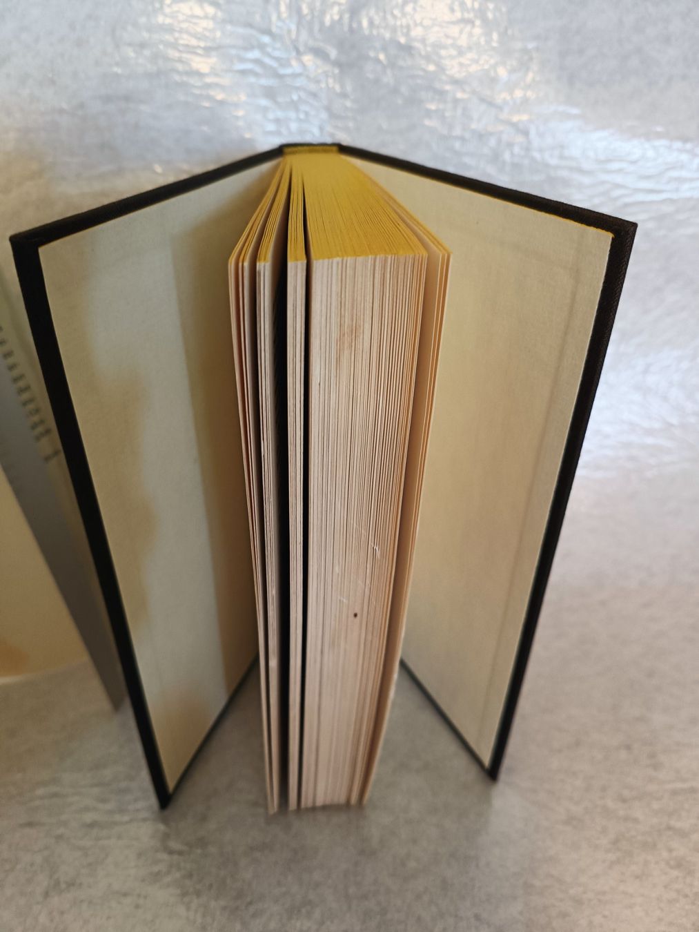 Bücher: Buch Thomas Mann: Der Erwählte - Hardcover-Buch – Gebraucht aus Oberhofen Thun'see von cri_6md2 6