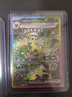 Pokemon Sammlung