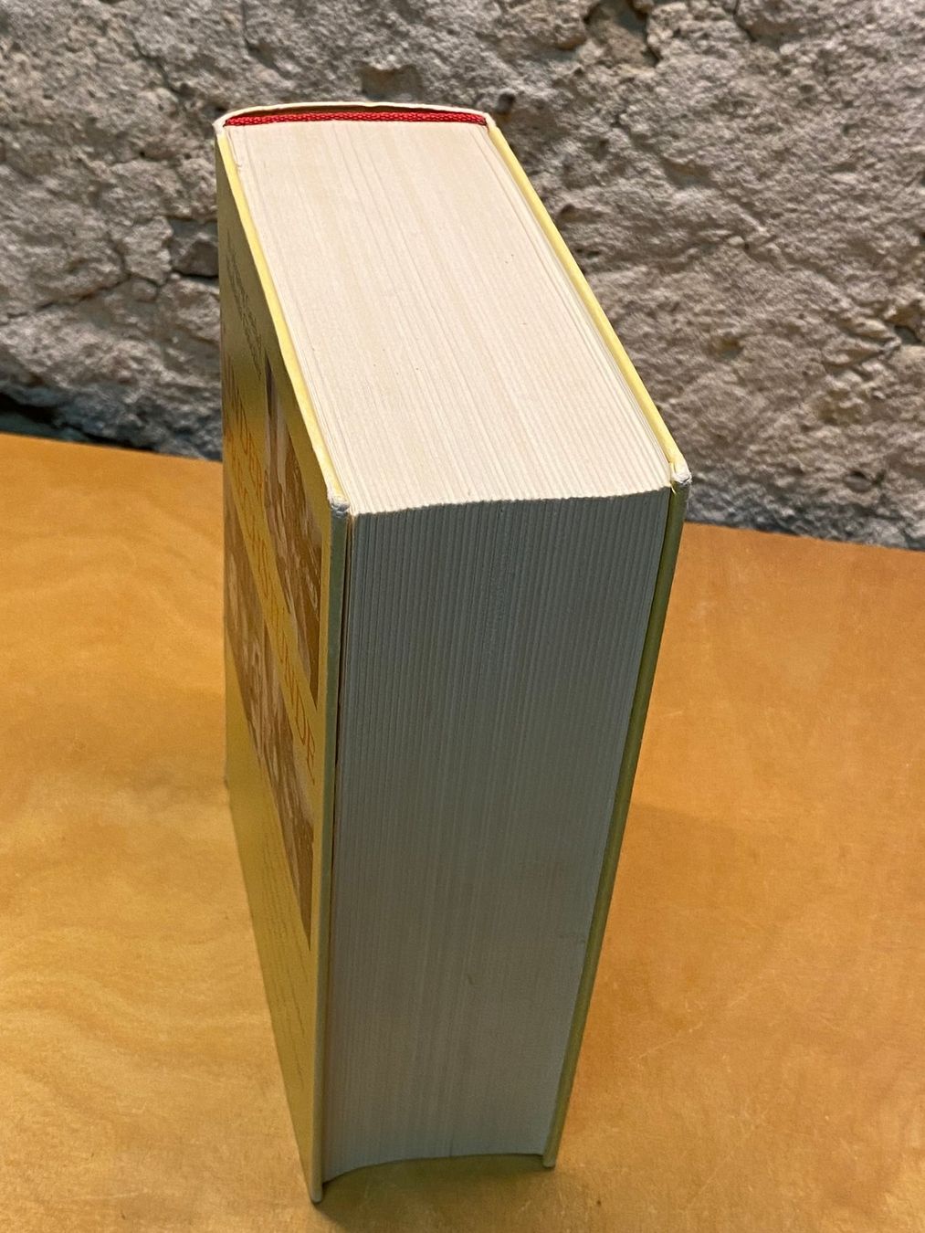 Bücher: Buch – Kinder Sprechstunde – Gebraucht aus St.Gallen von kingsamas 4