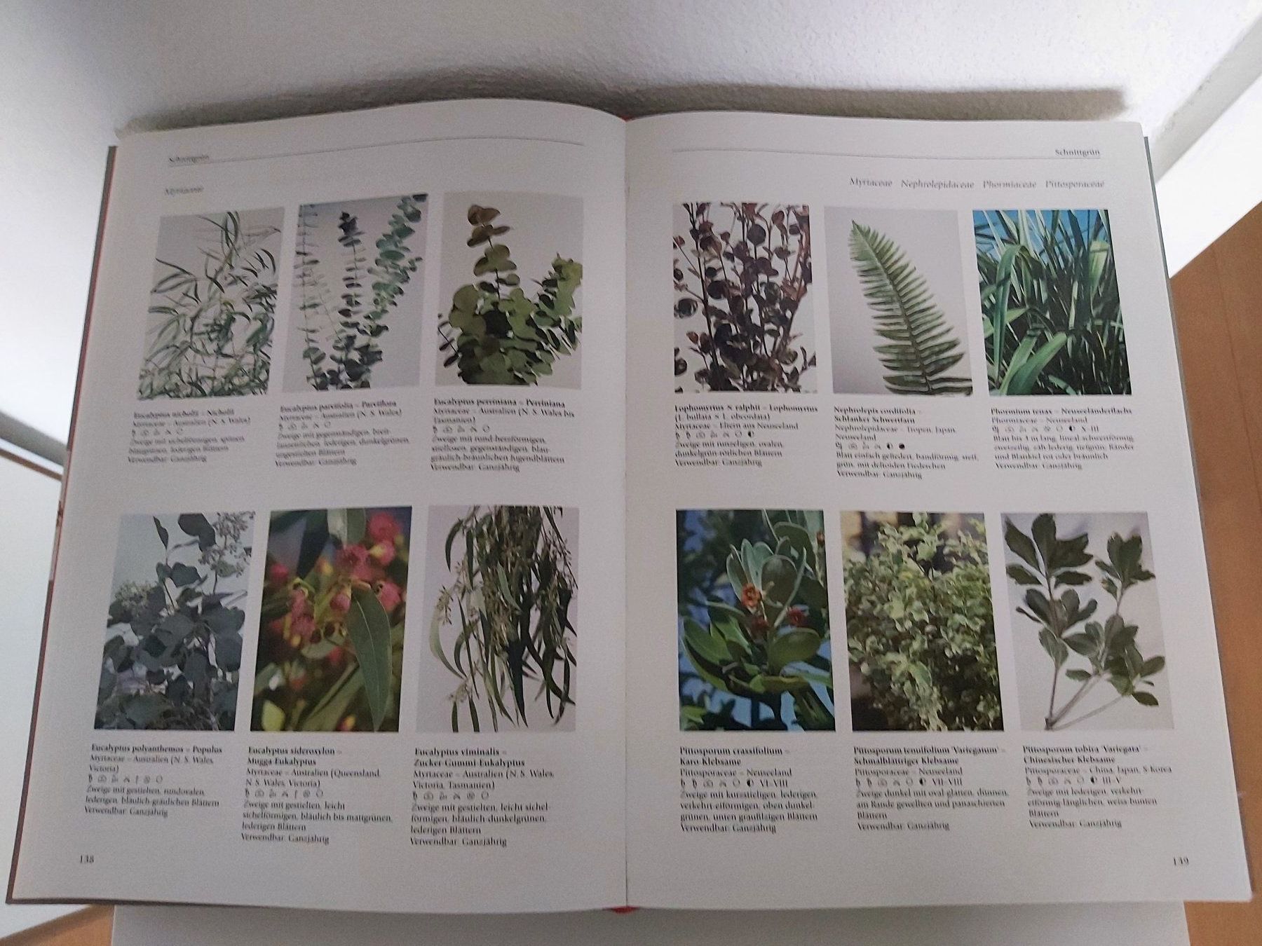 Bücher: Bildatlas der Pflanzen – Gebraucht aus Möhlin von wildm1 3