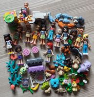 Lego Friends Figuren mit Zubehör