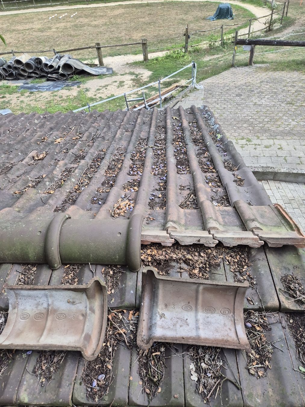 Sonstiges Baustoffe: Dachziegel 30m2 – Gebraucht aus Wasterkingen von mimi964 2
