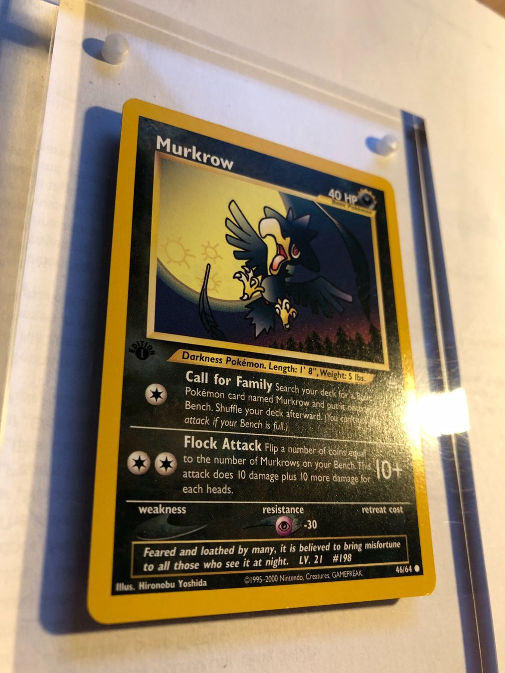Sammelbilder & Trading cards: Murkrow 1st Neo Revelation - MINT - ab 1.- – Gebraucht aus Giubiasco von dan_pr8b 1
