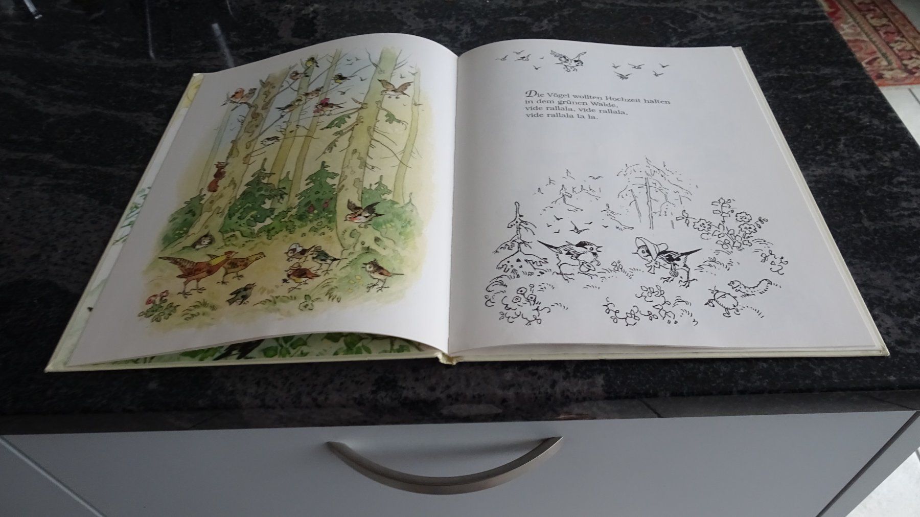 Bücher: Die Vogelhochzeit Eine Geschichte mit Bildern von F.Baumgart – Gebraucht aus Zürich von Roulet 4