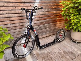 Dogscooter Trottinett Kostka