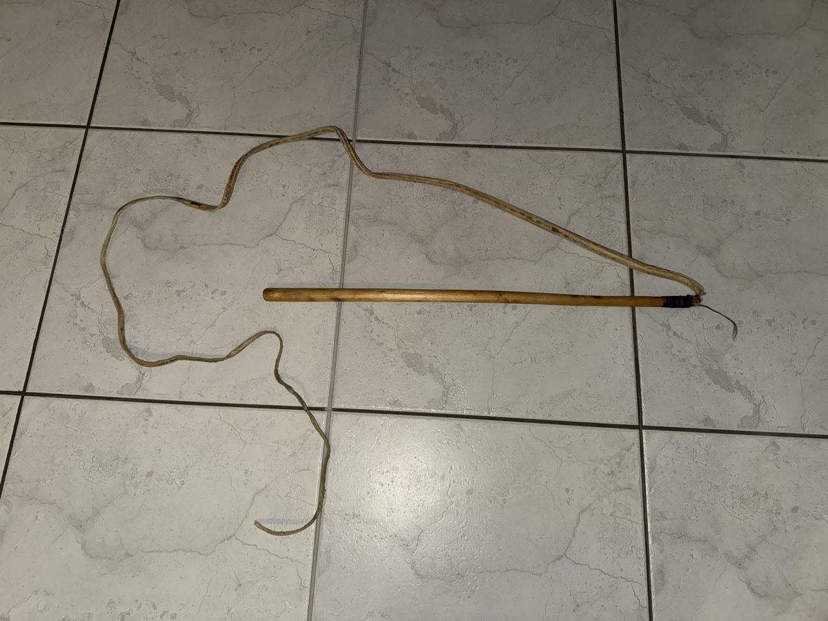 Altro in Accessori per animali: Alte Peitsche aus Leder – Difettoso da Gossau ZH venduto da Shaolin