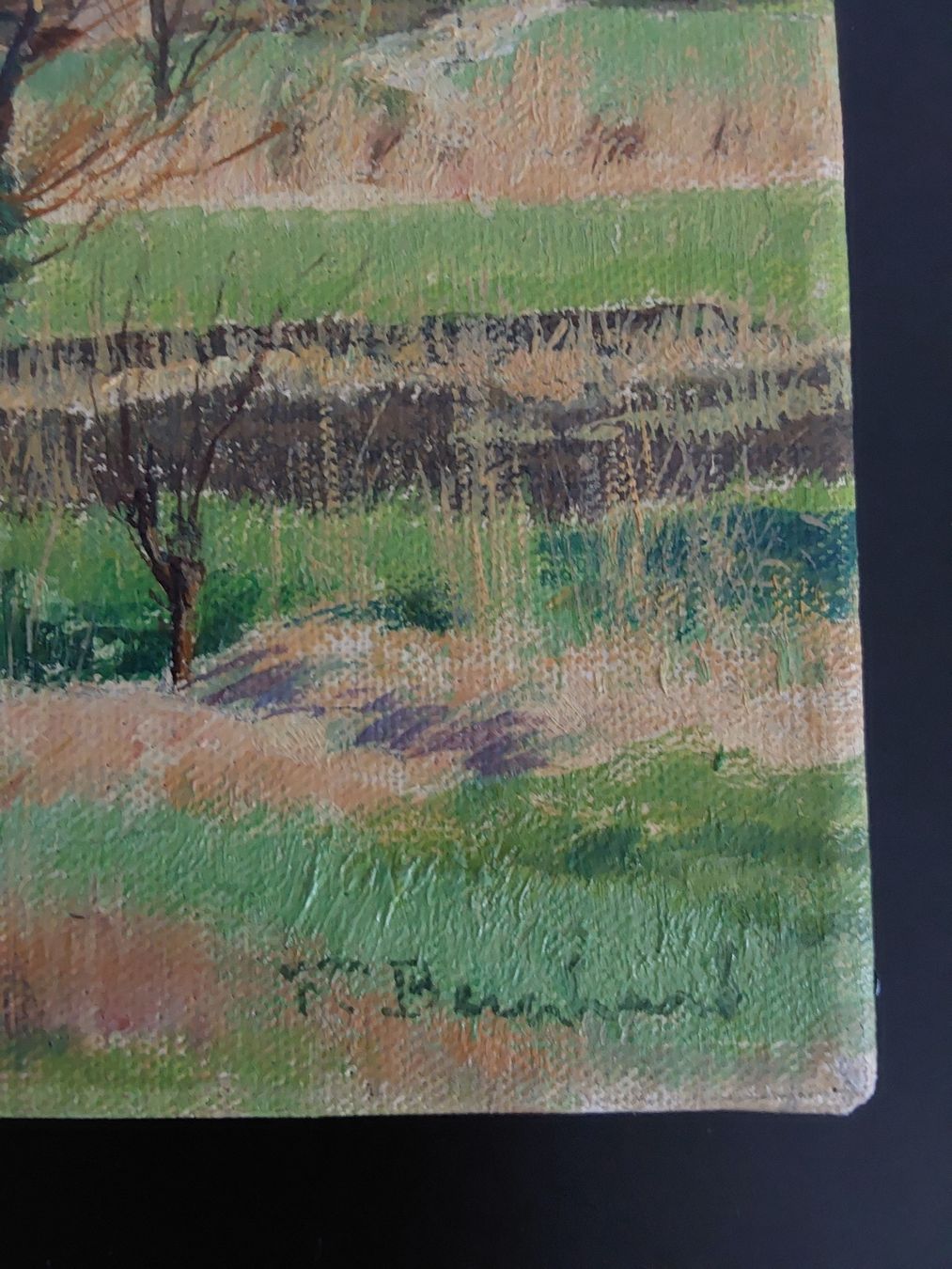 Dipinti: Fritz Bernhard. Oelbild 42x60cm. Signiert – Usato da Steinach venduto da Chilli1957 3