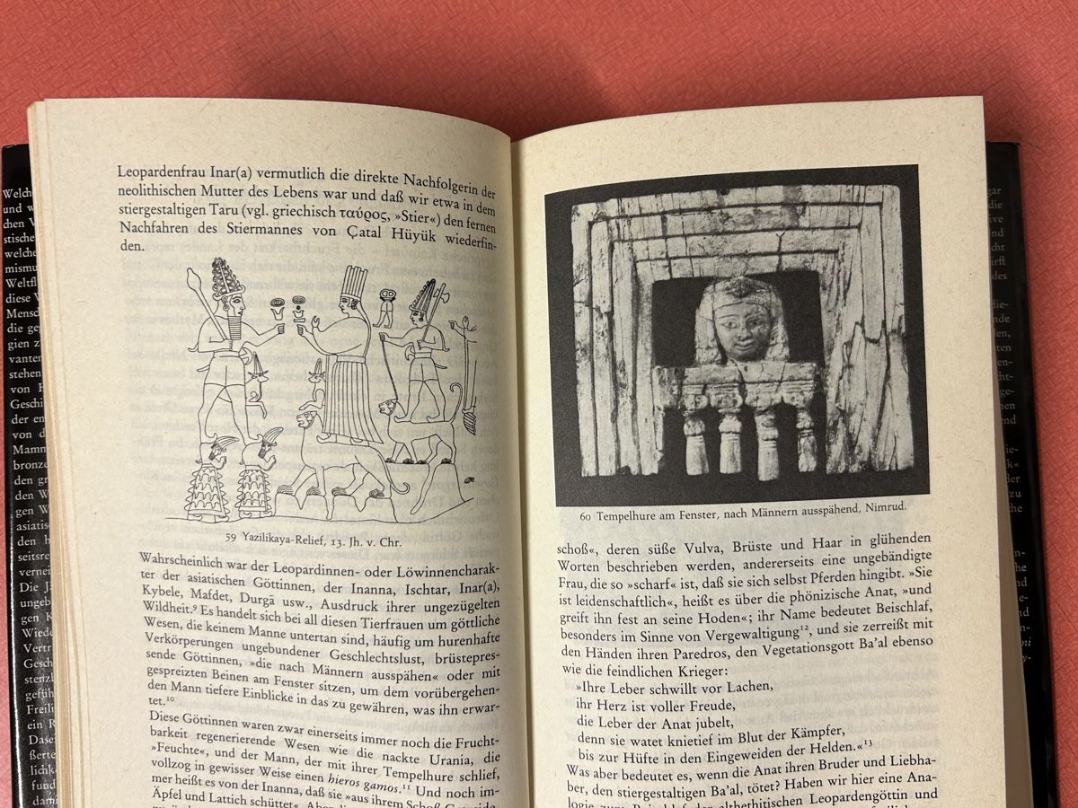 Libri: Hans Peter Dürr - Sedna: Seltenes Buch. – Usato da Lanzenhäusern venduto da vic63 4