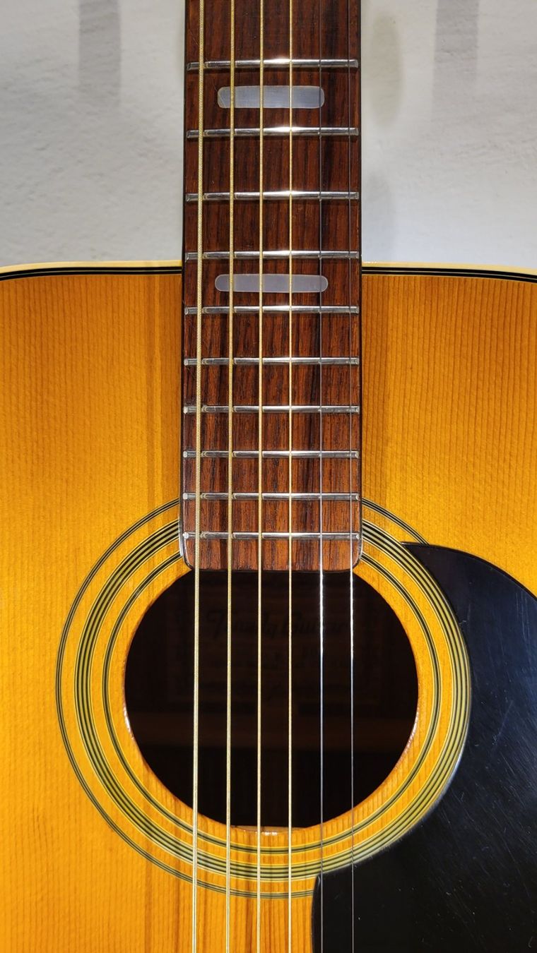 Strumenti musicali: Western Gitarre Terada FW503 – Usato da Winterthur venduto da NorrSydGuitars 4