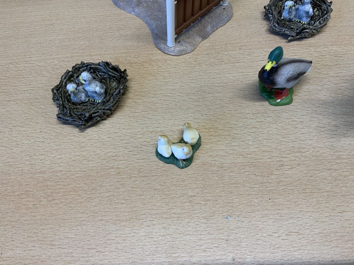 Schleich Figuren: Schleich  – Gebraucht aus Niederuzwil von Miami1999 2