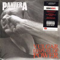 Pantera–Vulgar Display Of Power