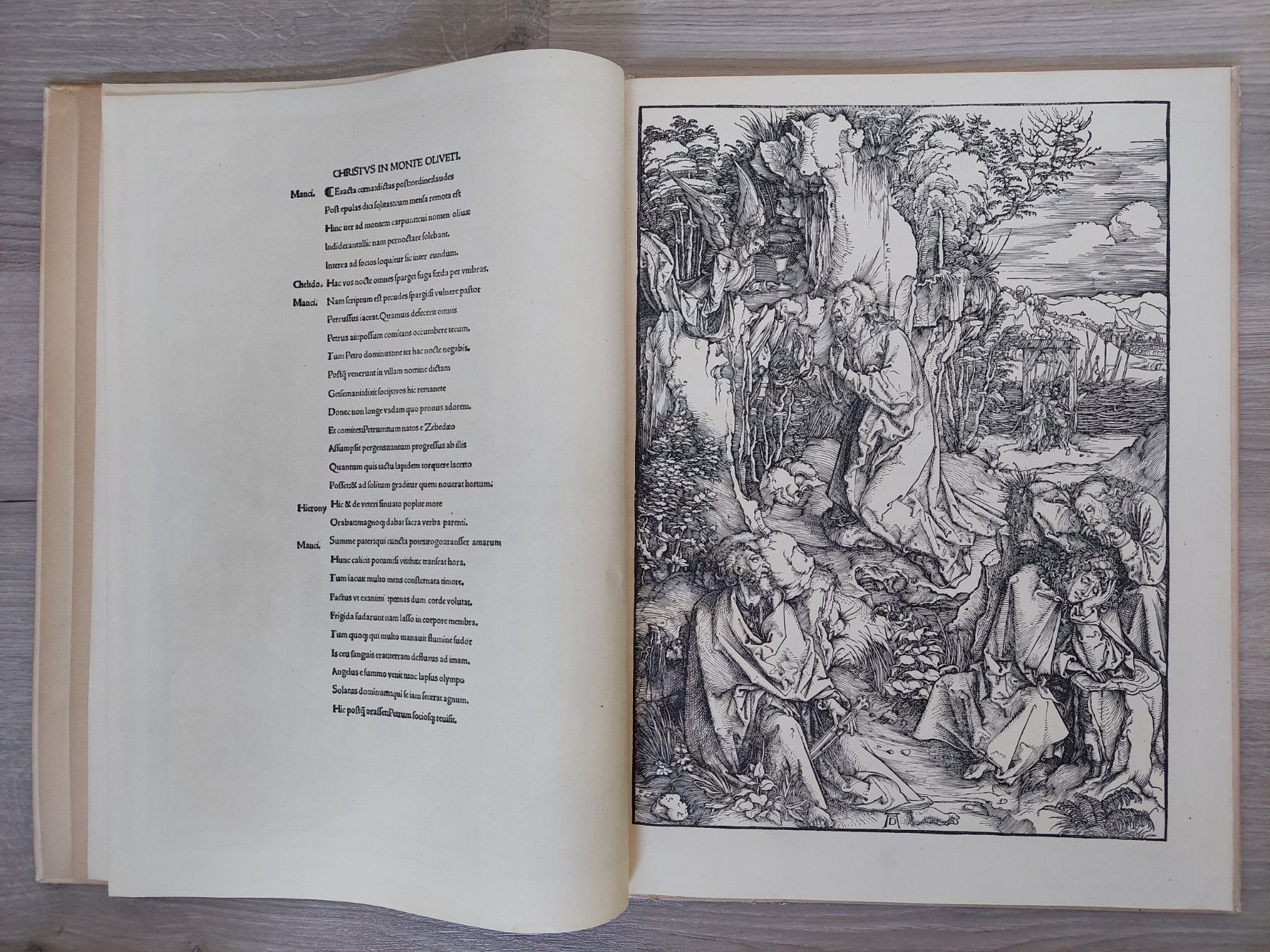 Libri: Die grosse Passion von Albrecht Dürer - Holzschnitte – Usato da Obfelden venduto da Foto_Bild_Kunst_Buch 4