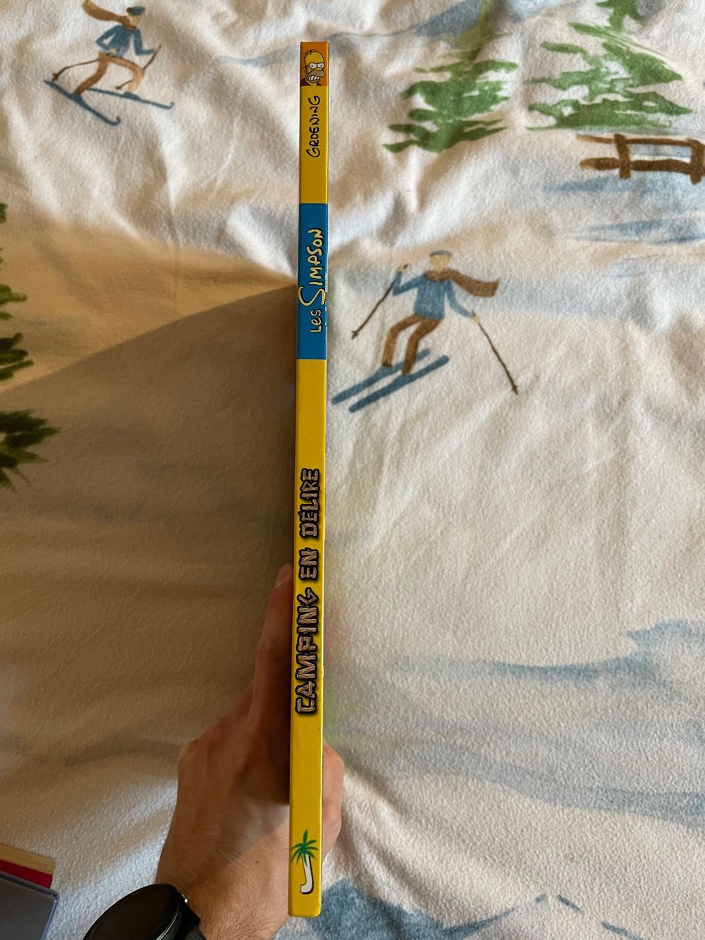 Comics: Les Simpson CAMPING EN DELIRE – Gebraucht aus Leytron von acb_00 2