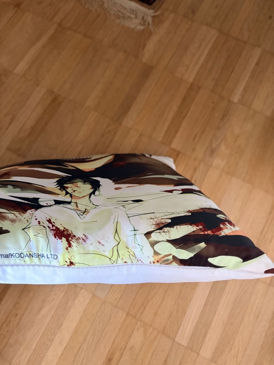 Cuscini: Coussin Attack on Titan Eren Jaeger – Usato da Meyrin venduto da bon_djk5 1