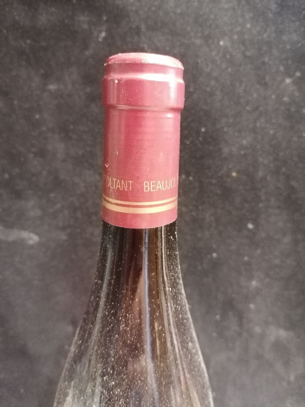 Wein: BEAUJOLAIS VILLAGES 2019 – Gebraucht aus Genève von Leboucheoreilles 1