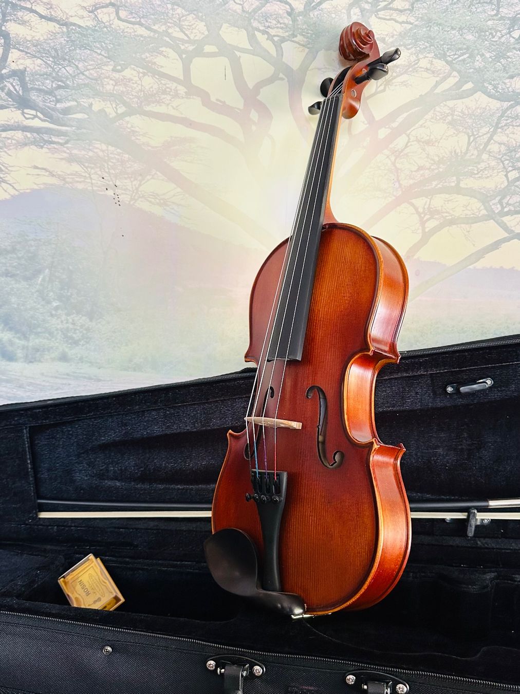 Instruments de musique: Viola 13 – Neu – Neuf avec emballage d'origine à Kirchberg SG par rex_pfd8 3