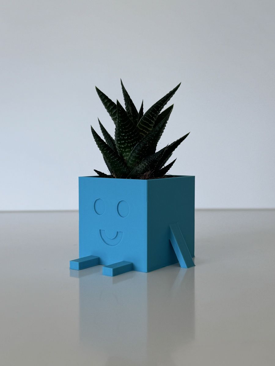Vasi & Recipienti: Homemade designed cube vase for little plants – Nuovo (secondo la descrizione) da Bellinzona venduto da Yoichi 1