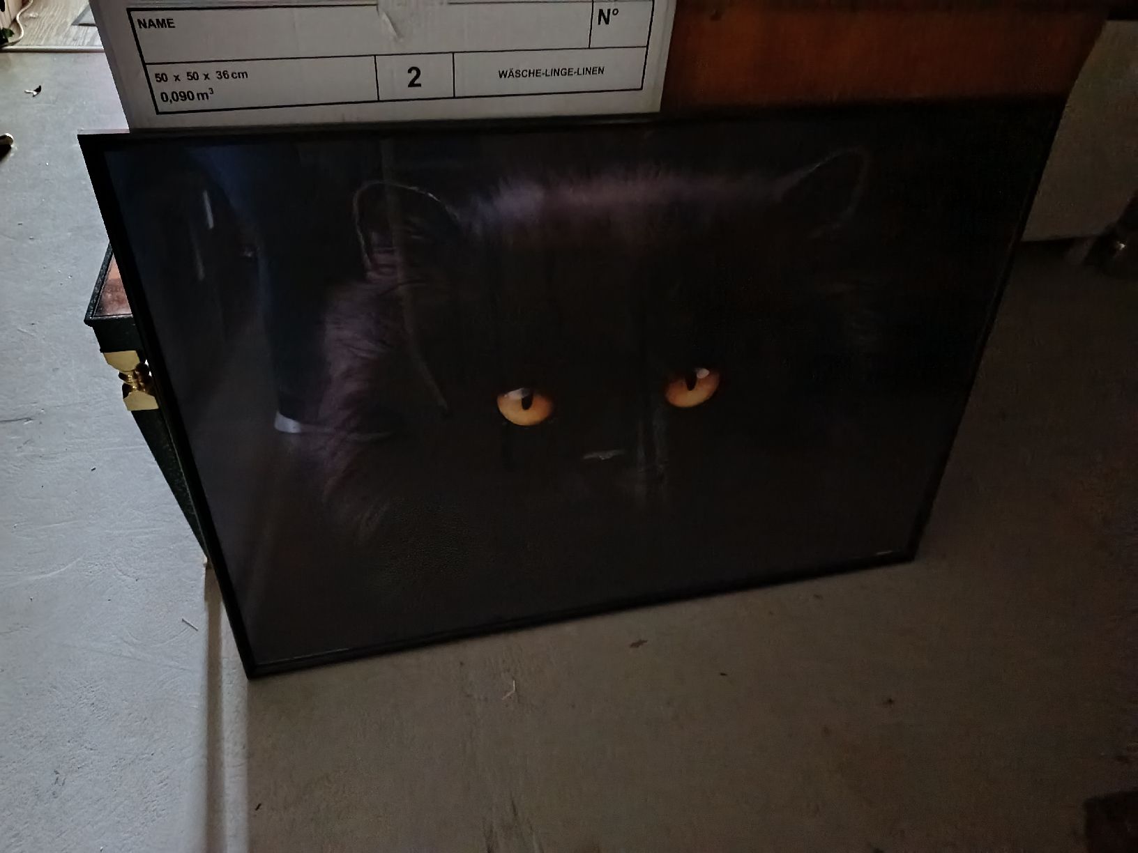 Poster & Bilder: Bild mit schwarzer Katze - 70 x 100 cm – Gebraucht aus Zürich von Kartal_Siner21 3