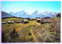 Wiesener-Alp