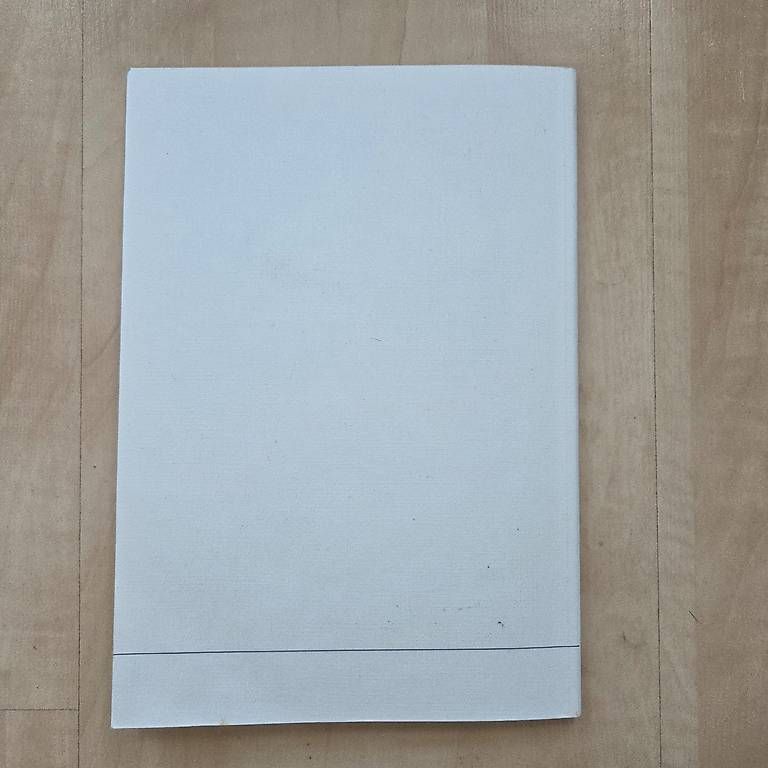 Libri: Die Geschichte der Waldshuter Rheinfähre – Usato da Zug venduto da Sunshine_113 3