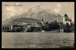 AK Spiez a. Thunersee, Ortsansicht mit Niesen