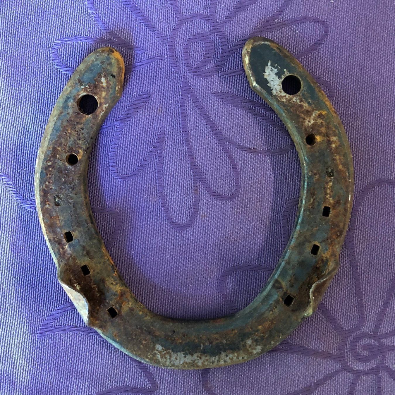Altro in Accessori per animali: Glücksbringer-Hufeisen – Usato da Buchs SG venduto da Handyman77 1