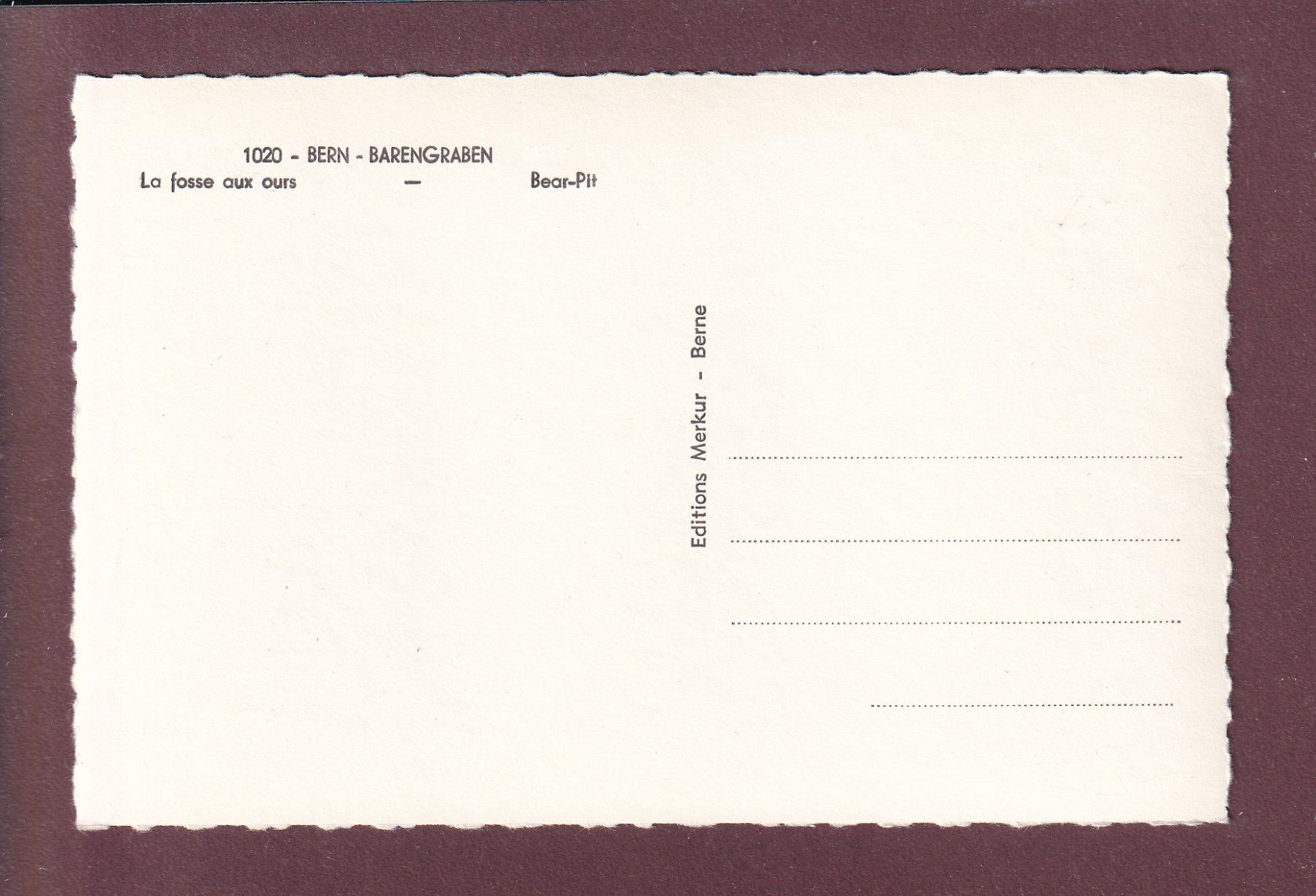 Cartes postales: BERN - Bärengraben – D'occasion à Pully par nicecards 1