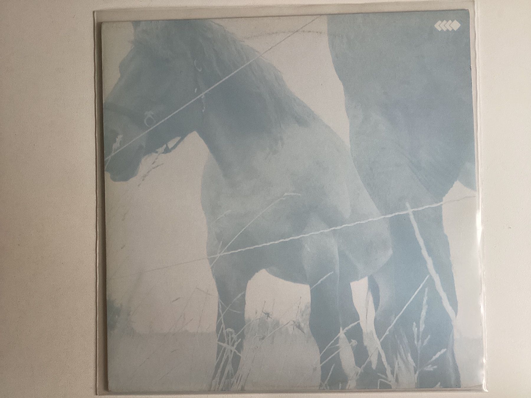 Dischi in vinile: Claus Richter & Benjamin Maxi-Single - Swallow You – Usato da Gutenswil venduto da Hamzian