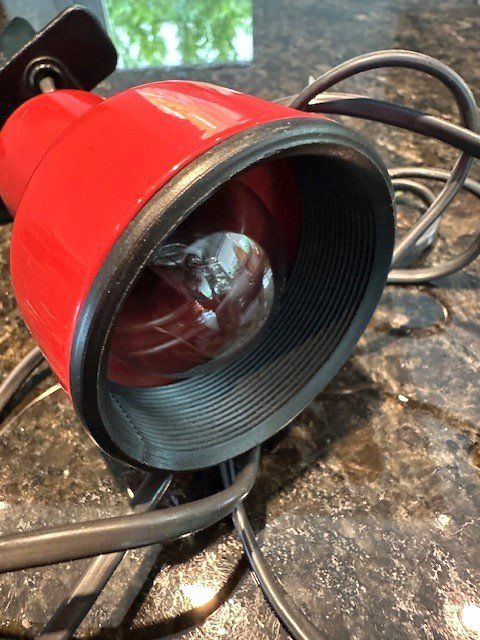 Lampen: +  roTeR SpOt  + – Gebraucht aus Winkel von zeho 3