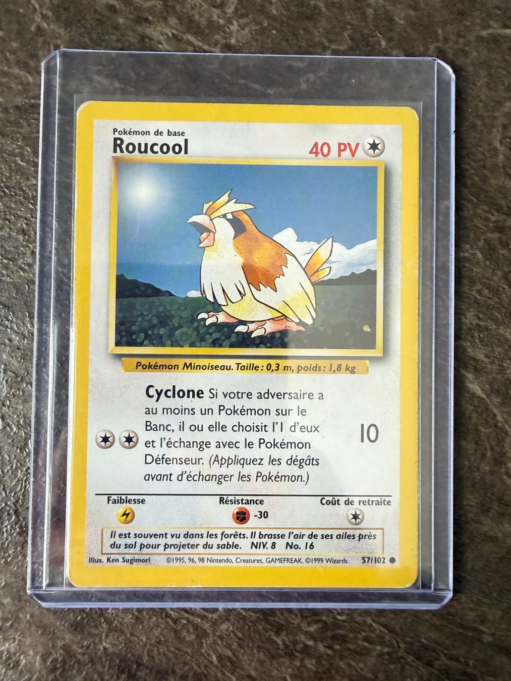 Pokémon Carte collezionabili: Carte Pokémon - Roucool - BS 57 - FR – Usato da Aigle venduto da John_28