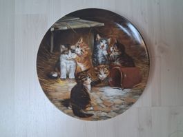 KATZENTELLER SAMMELTELLER