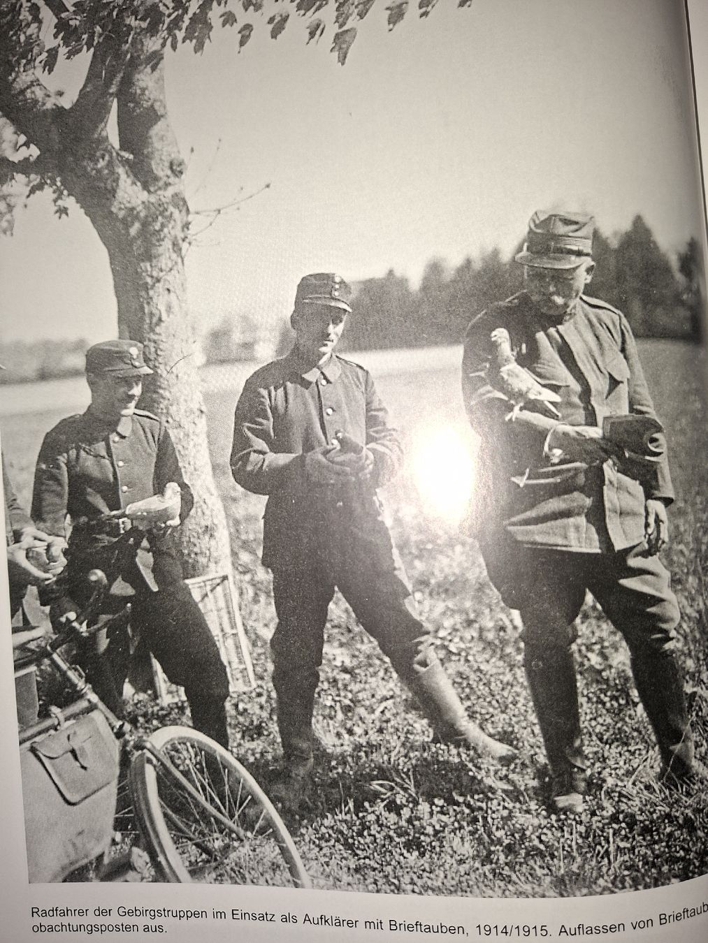 Libri: Schweizer Armee Militär,  Brieftauben Buch – Usato da Schwanden Sigrisw venduto da len_9yqg 3