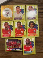 Panini Sticker PAN