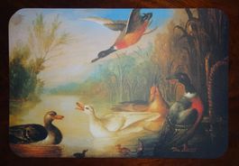 Set de table plastique - Scène de canards sauvages