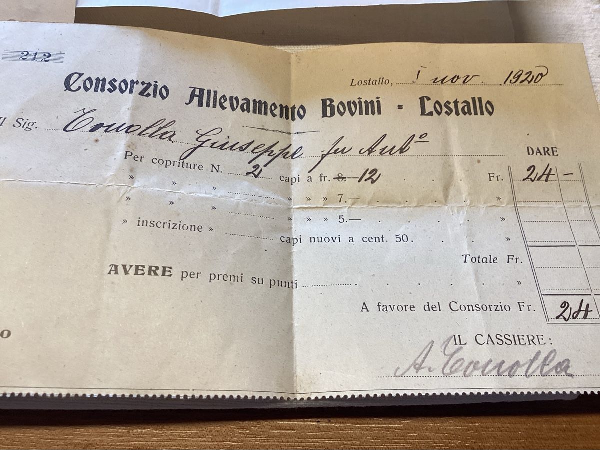 Ansichtskarten: Lostallo 4 documents 1901 A 1921  intéressant – Gebraucht aus Luc (Ayent) von Rebouille 3