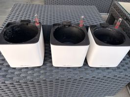 Lechuza Wand-Pflanzgefässe 3er Set weiss mit Halterung