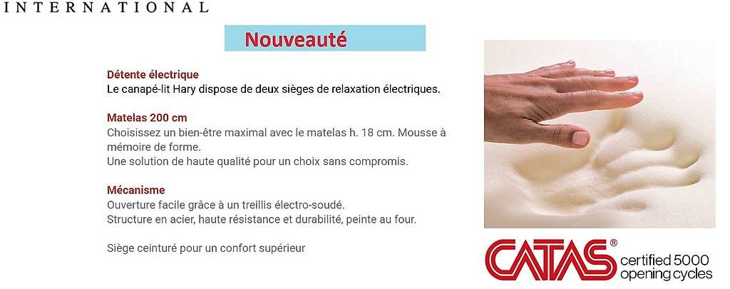 Divani: Canapé relax électrique et canapè lit ensemble – Nuovo e nell'imballaggio originale da Lausanne venduto da casa56 7