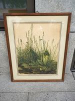 Hübsche Lithographie Löwenzahn & Wildkräuter MA357