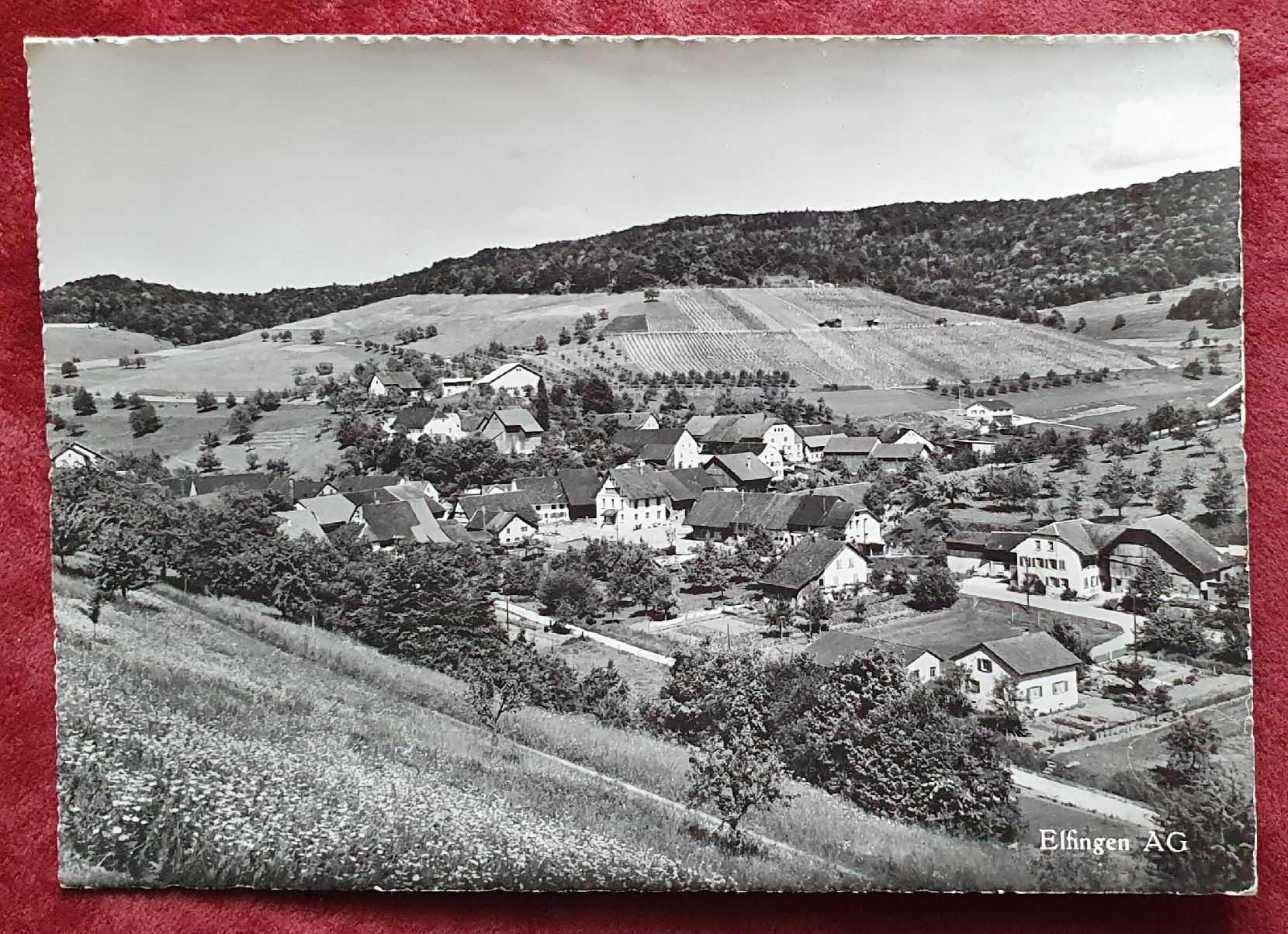 Cartoline postali: Elfingen AG – Usato da Kreuzlingen venduto da Rschweiz1