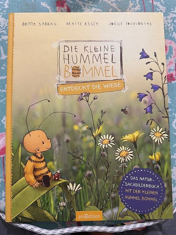 Libri: Die kleine Hummel Bommel – Usato da Starrkirch-Wil venduto da Tigerlili1