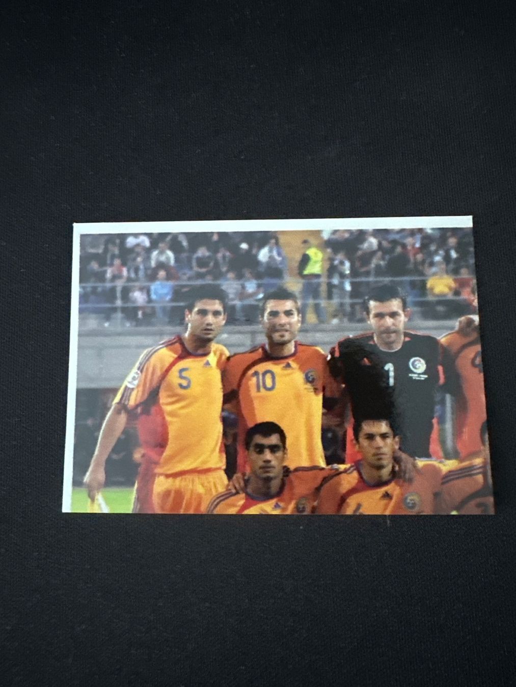 Panini Carte collezionabili: Panini UEFA EM 2008 Sticker - Nr. 307 – Usato da Sulz AG venduto da DealWerk