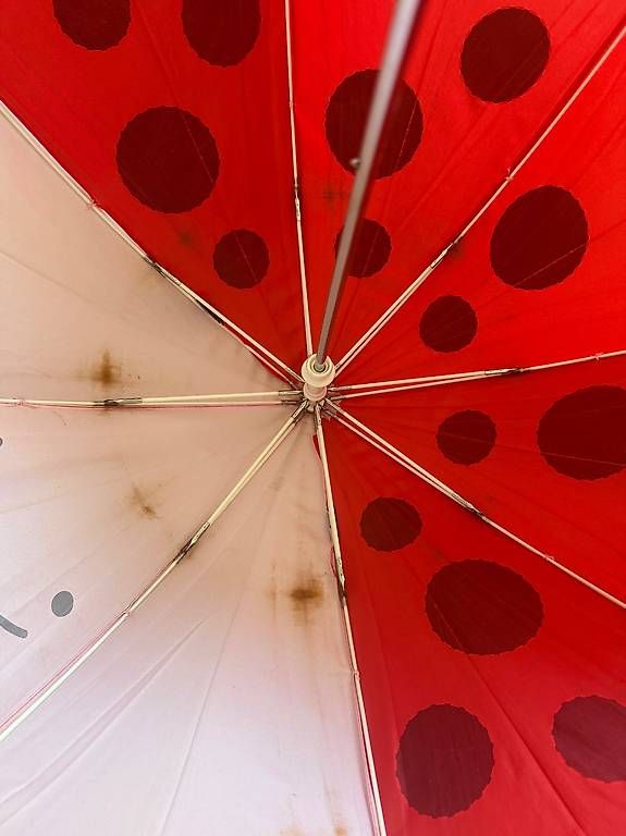 Autres pour enfant & bébé: kinder Regenschirm  – D'occasion à Gümligen par xifenglie 2