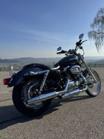 Harley Davidson Sportster XL1200C