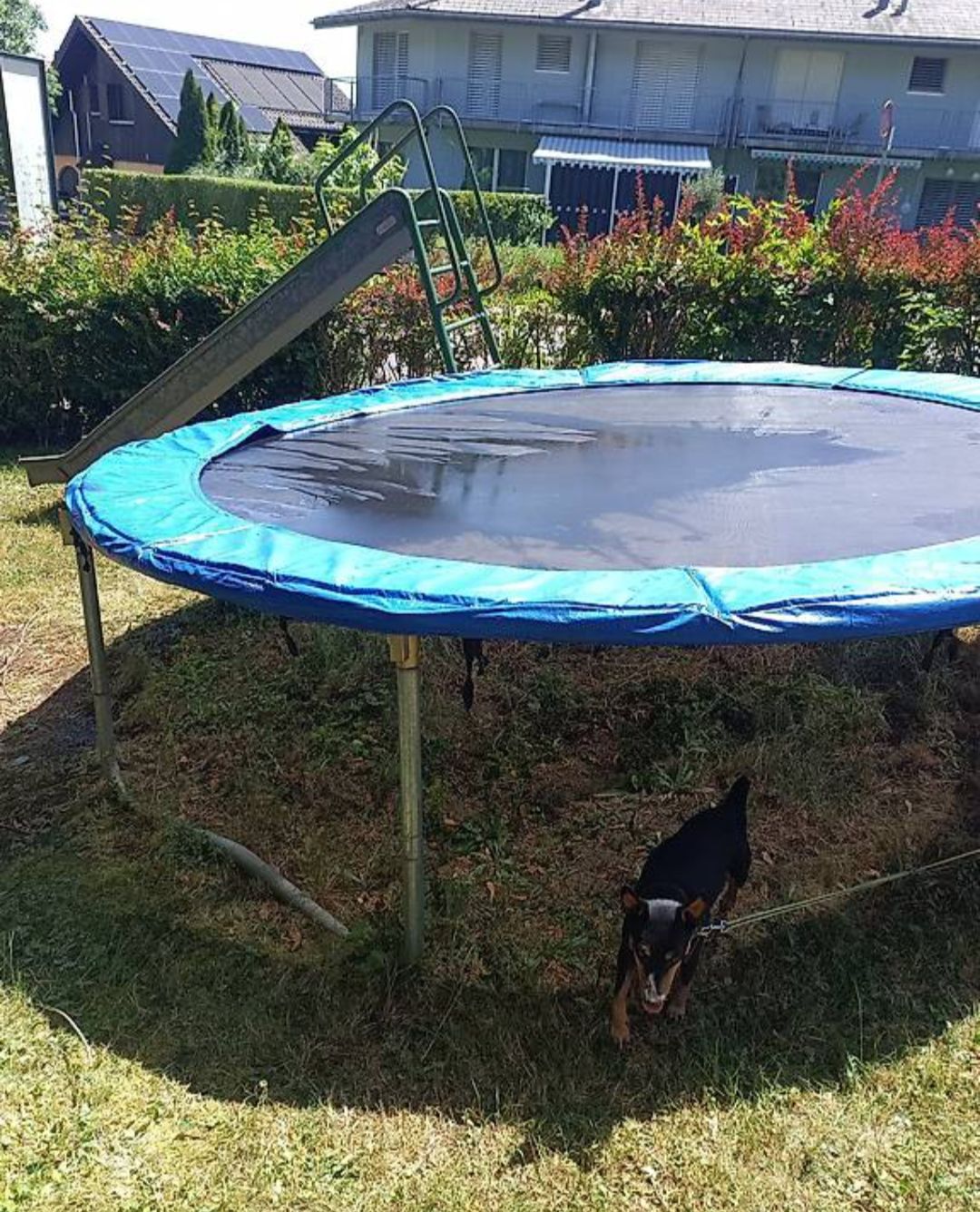 Trampolines: Trampolin 305 – D'occasion à Grenchen par evg_fg7z 2